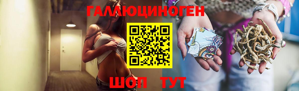 Арзамас  Псилоцибиновые грибы MAGIC MUSHROOMS  Вход с VPN  Галлюциногенные грибы прущие грибы 